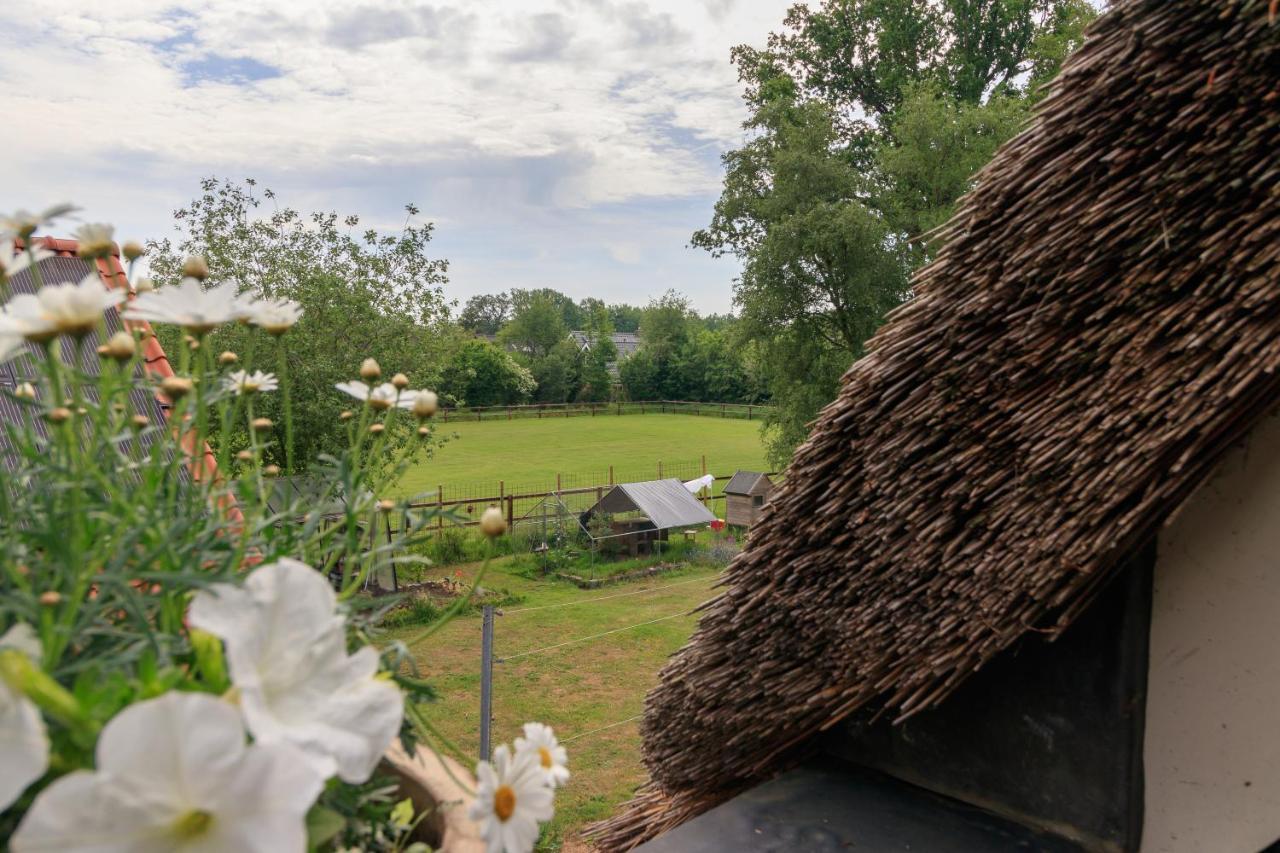 Het Grote Paard Lejlighed Havelte Eksteriør billede