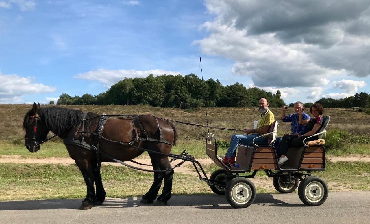 Het Grote Paard Lejlighed Havelte Eksteriør billede