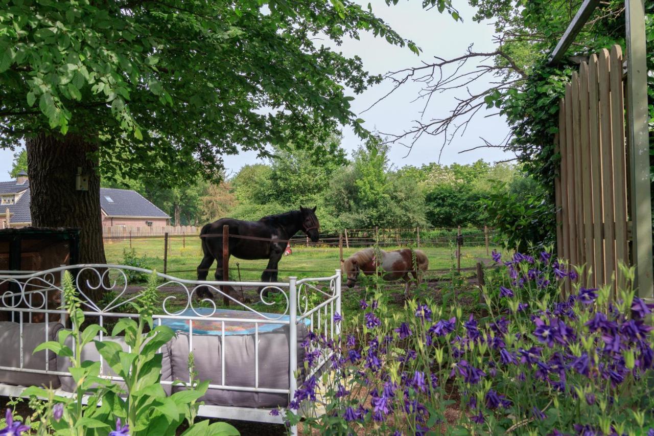 Het Grote Paard Lejlighed Havelte Eksteriør billede