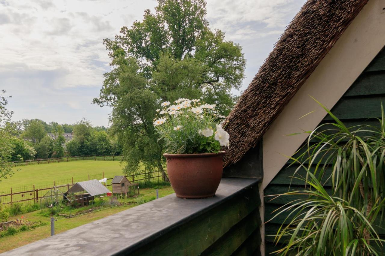 Het Grote Paard Lejlighed Havelte Eksteriør billede